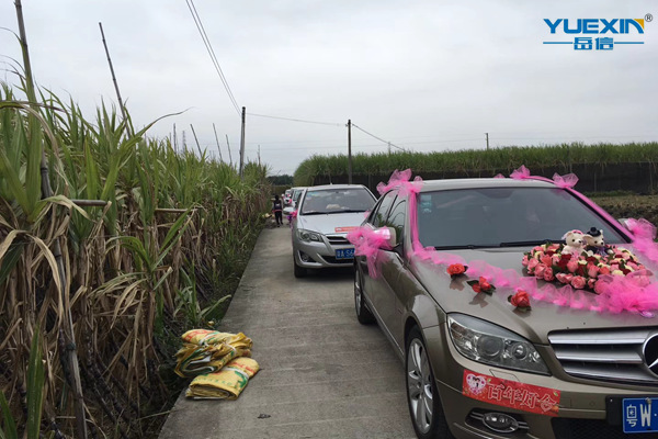 岳信土豪结婚-婚车